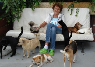 Dorota Sumińska na pikniku  "Ursynów…dobry dla zwierząt"