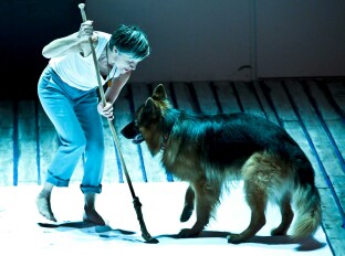 KOTLINA według prozy O. Tokarczuk - spektakle we Wrocławiu