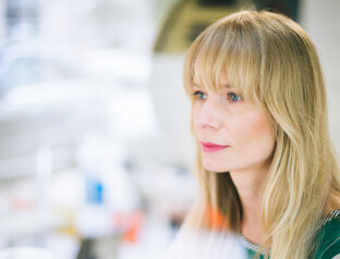 Magdalena Cielecka czyta "Małą Zagładę"