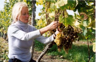 Patricia Atkinson Człowiekiem Roku według "Czasu wina"