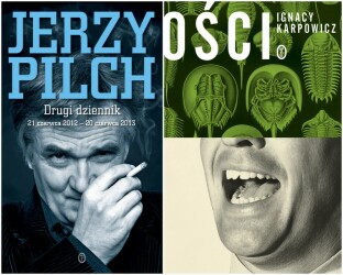 Pilch i Karpowicz nominowani do NIKE!