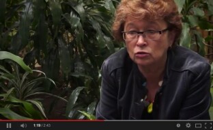 Azja według Doroty Sumińskiej